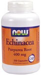 Echinacea (purple coneflower) is a native American herb that was once widely used by the Plains Indians and is now used by millions of consumers worldwide. &nbsp;  Echinacea Species and Their Active Ingredients &nbsp;  Related Products.