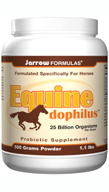 Equine-Dophilus is a powdered probiotic supplement formulated for horses to support intestinal health and help strengthen overall immune function..