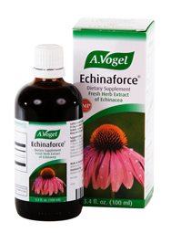 100% certified organically grown Echinacea supporting a healthy immune response..