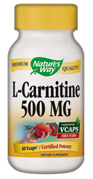 Key nutrient for energy production in the heart and skeletal muscles of the body.