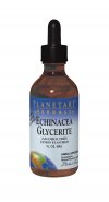 Echinaceas ability to support our immune system has been widely praised both historically and in modern time.* Planetary Herbals Echinacea Glycerite is designed specifically for those wishing to avoid the alcohol contained in most liquid extracts..