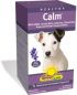 Healthy Calm (60 chewable tablets)* Renew Life