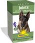 Healthy Joints (60 chewable tablets)* Renew Life