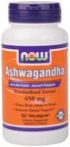 Ashwagandha 4.5 pct Extract (90 Vcaps) NOW Foods