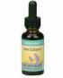 Sweet Echinacea (2 fl.oz) Herbs for Kids