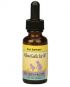 Willow/Garlic Ear Oil (1 fl.oz) Herbs for Kids