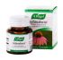 Echinaforce Tabs (120 tab) A Vogel