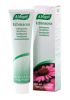 Echinacea Toothpaste (3.5 oz) A Vogel
