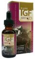 Deer Antler Velvet Extract | Pure IGF Premium (1 oz)* Pure Solutions