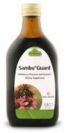 Sambu Wild Grown Elderberry Concentrate (5.9 fl oz) Flora Health, Dr. Dunner