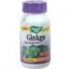 Ginkgo Standardized (60 Capsules) Nature's Way
