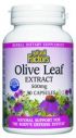 Olive Leaf Standardized Extract (500 mg 90 capsules)* Natural Factors