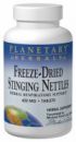 Stinging Nettle Freeze-Dried (420mg  60 tablets) Planetary Herbals