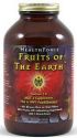 Fruits of the Earth Superfruit Antioxidant Blend (360 g)* HealthForce Nutritionals