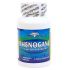 Phenocane Curcumin plus DLPA (120 capsules)* OxyLife