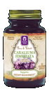 Caralluma Fimbriata (60 Vegetarian Capsules)* Genesis Today