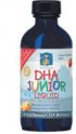 DHA Junior Liquid (4 fl.oz) * Nordic Naturals