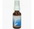 Injuries Spray Liddell (Liddel)