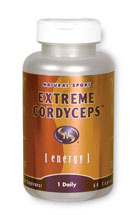 Studies suggest that Cordyceps may provide nutritive support for endurance activities. The potential mechanisms of action include improved ATP production/ratios (the body's energy source), blood circulation and oxygen utilization..